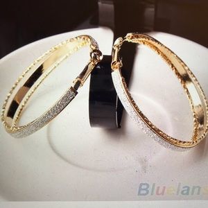 Fashion Big Hoop Dangle Earrings